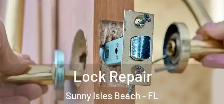Lock Repair Sunny Isles Beach - FL